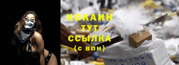 молекула духа Осинники
