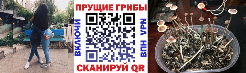 кракен онион  Усолье-Сибирское  Галлюциногенные грибы Cubensis 